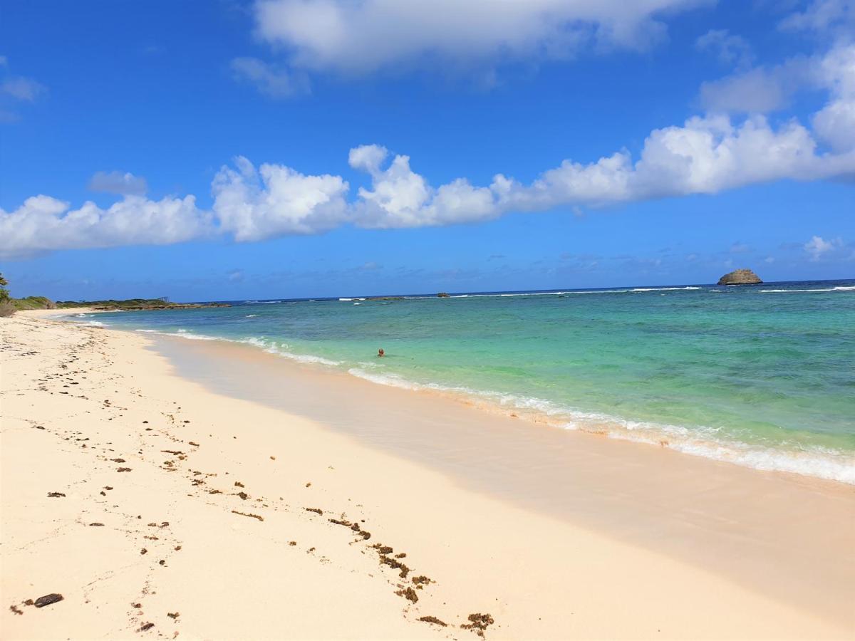 Villa Guadeloupe Saint François Accès Mer Piscine IGUANA BAY - Villa Zagadi Esterno foto
