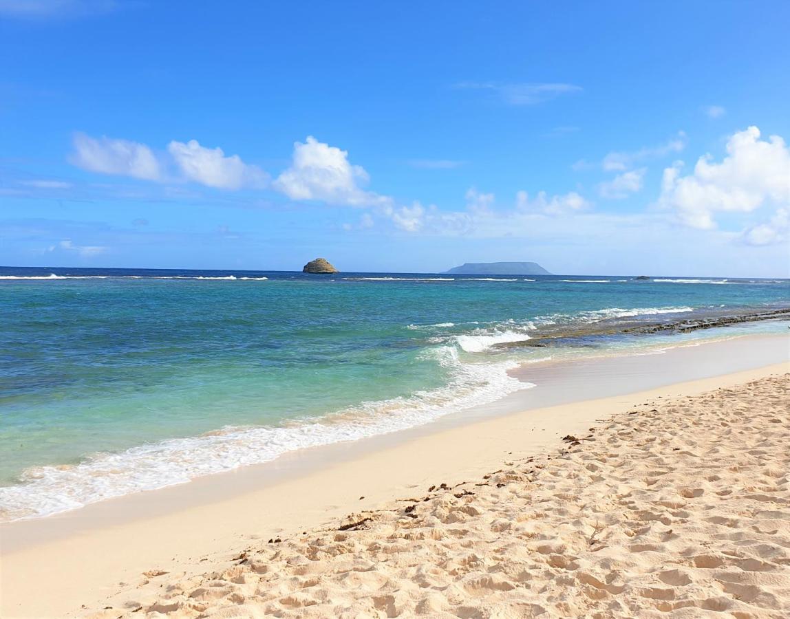 Villa Guadeloupe Saint François Accès Mer Piscine IGUANA BAY - Villa Zagadi Esterno foto