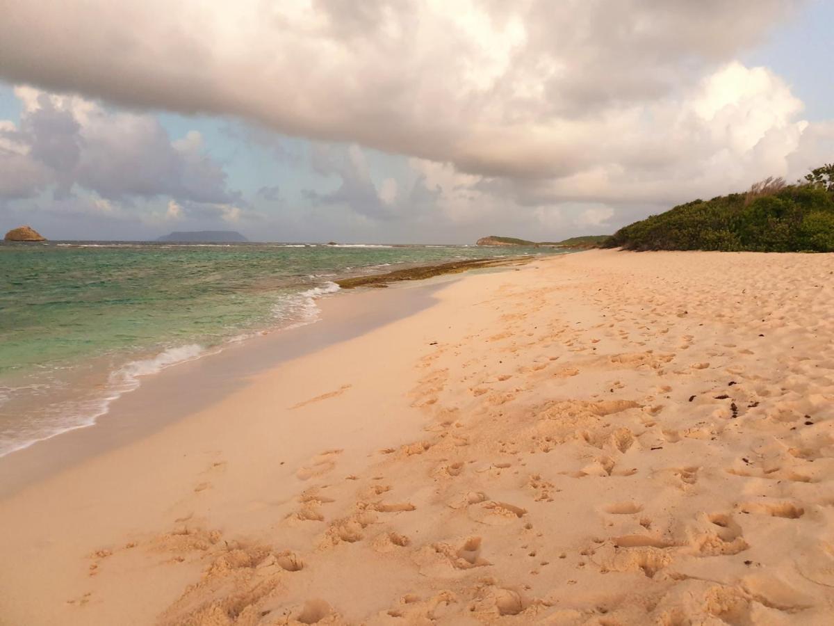 Villa Guadeloupe Saint François Accès Mer Piscine IGUANA BAY - Villa Zagadi Esterno foto