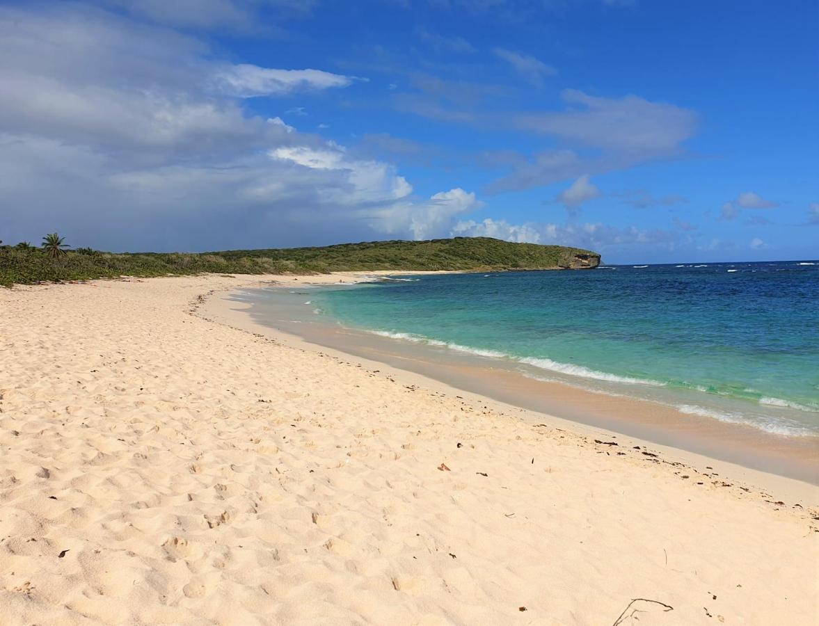 Villa Guadeloupe Saint François Accès Mer Piscine IGUANA BAY - Villa Zagadi Esterno foto