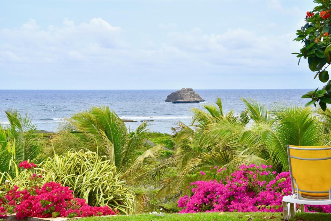Villa Guadeloupe Saint François Accès Mer Piscine IGUANA BAY - Villa Zagadi Esterno foto