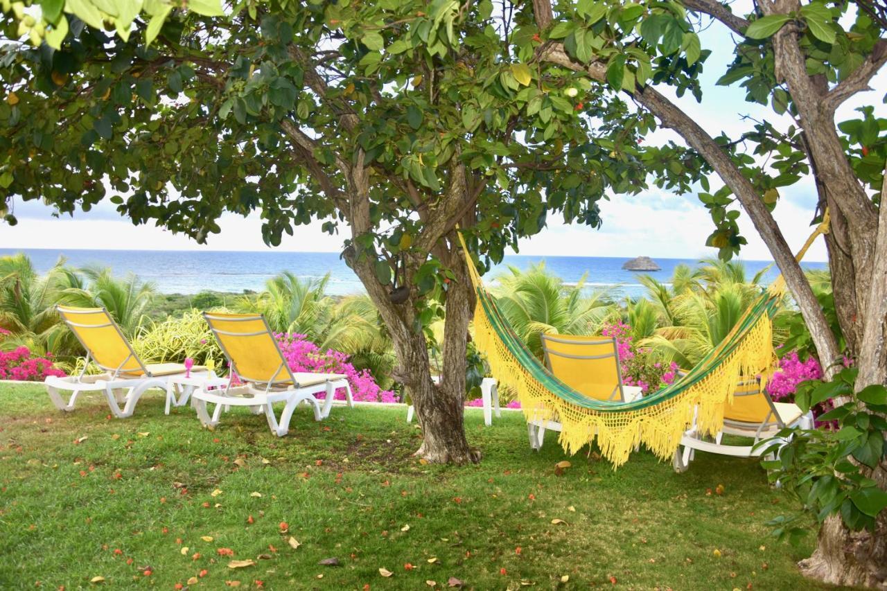 Villa Guadeloupe Saint François Accès Mer Piscine IGUANA BAY - Villa Zagadi Esterno foto