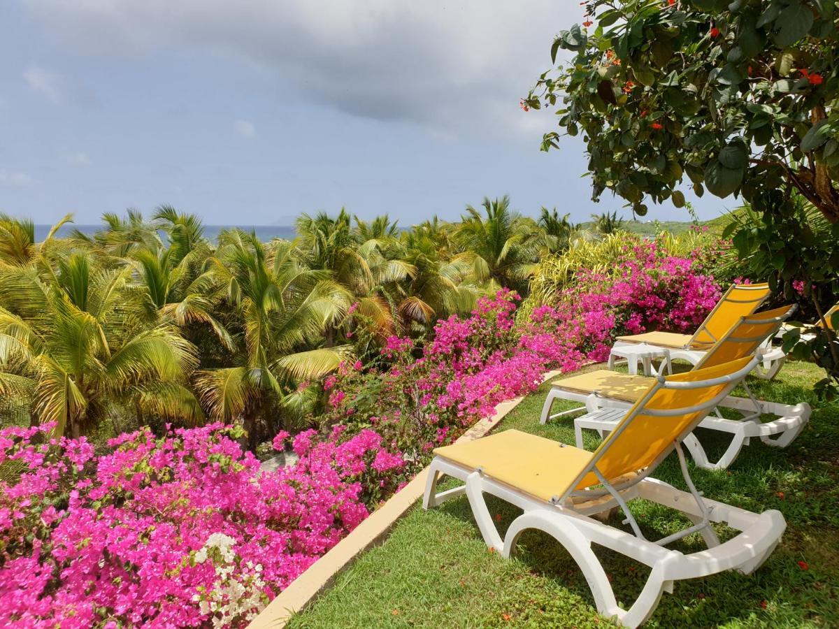 Villa Guadeloupe Saint François Accès Mer Piscine IGUANA BAY - Villa Zagadi Esterno foto