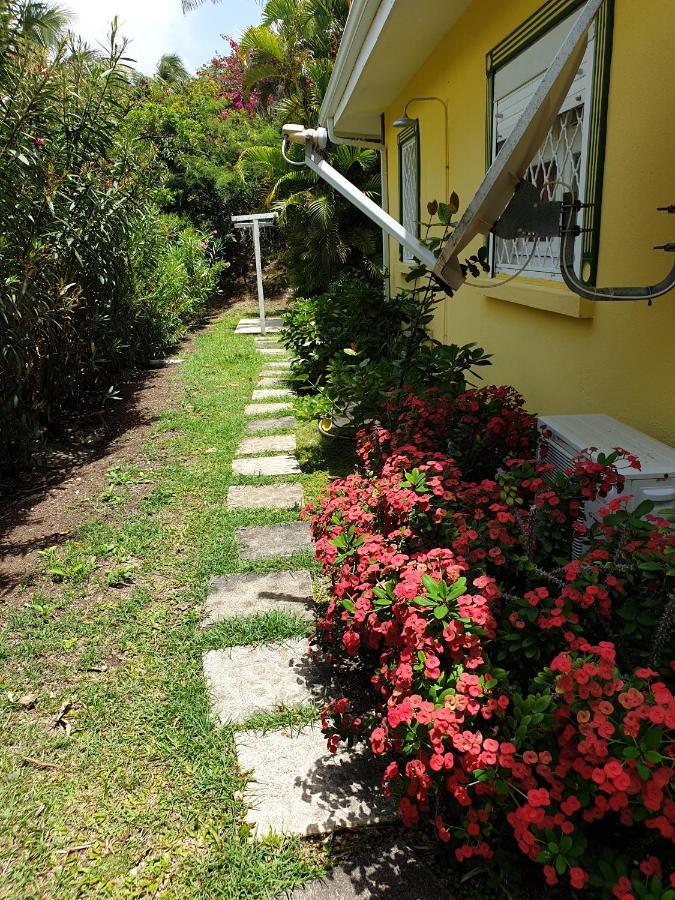 Villa Guadeloupe Saint François Accès Mer Piscine IGUANA BAY - Villa Zagadi Esterno foto