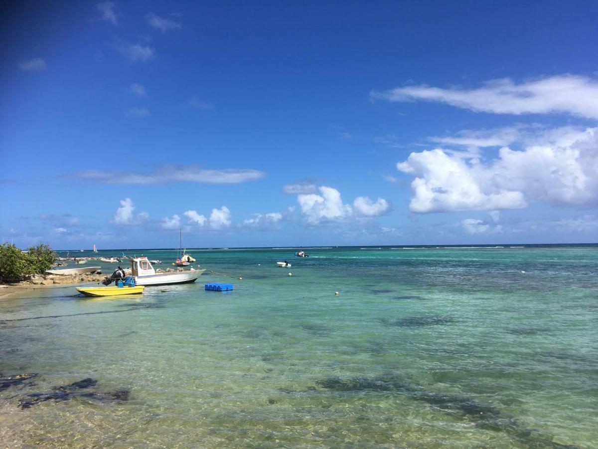 Villa Guadeloupe Saint François Accès Mer Piscine IGUANA BAY - Villa Zagadi Esterno foto