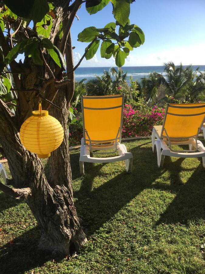 Villa Guadeloupe Saint François Accès Mer Piscine IGUANA BAY - Villa Zagadi Esterno foto
