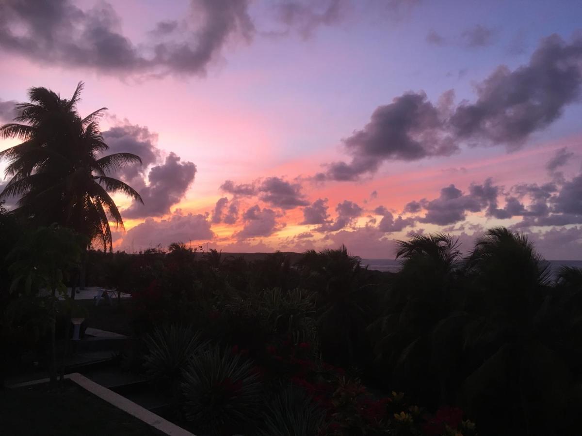 Villa Guadeloupe Saint François Accès Mer Piscine IGUANA BAY - Villa Zagadi Esterno foto